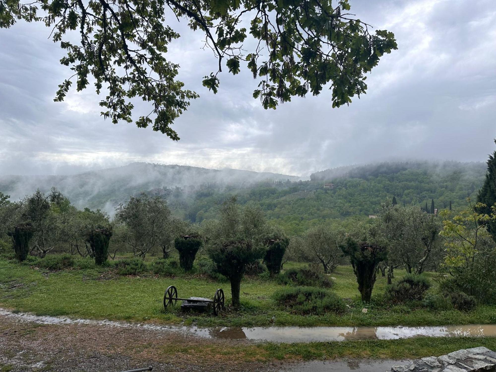Podere Sagna Castellina in Chianti Exterior foto
