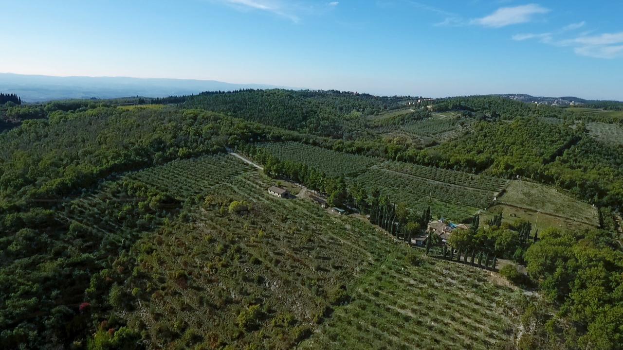 Podere Sagna Castellina in Chianti Exterior foto