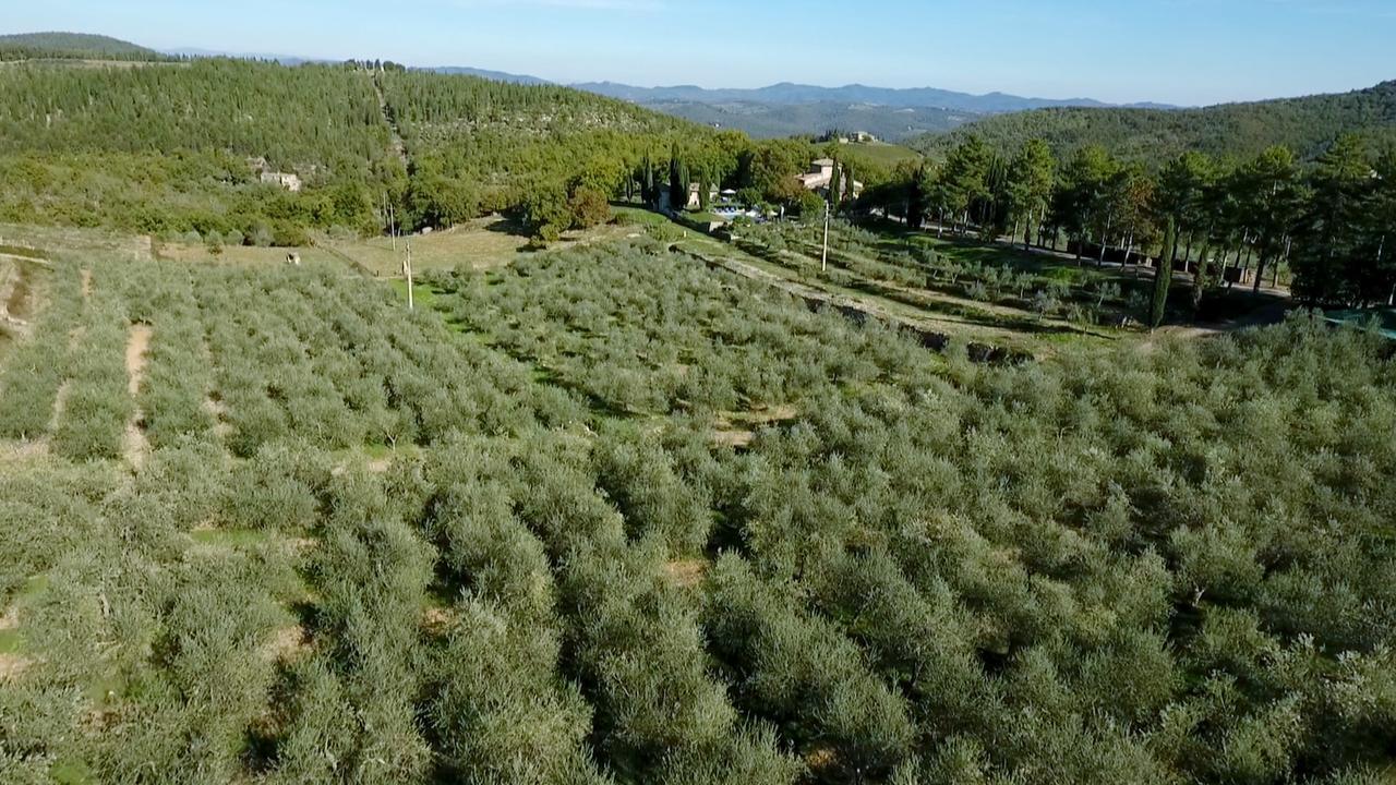Podere Sagna Castellina in Chianti Exterior foto